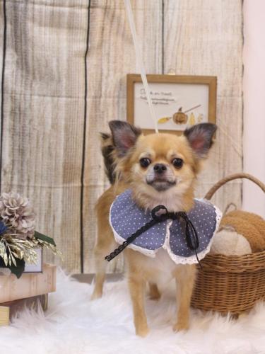 20241012れおくん